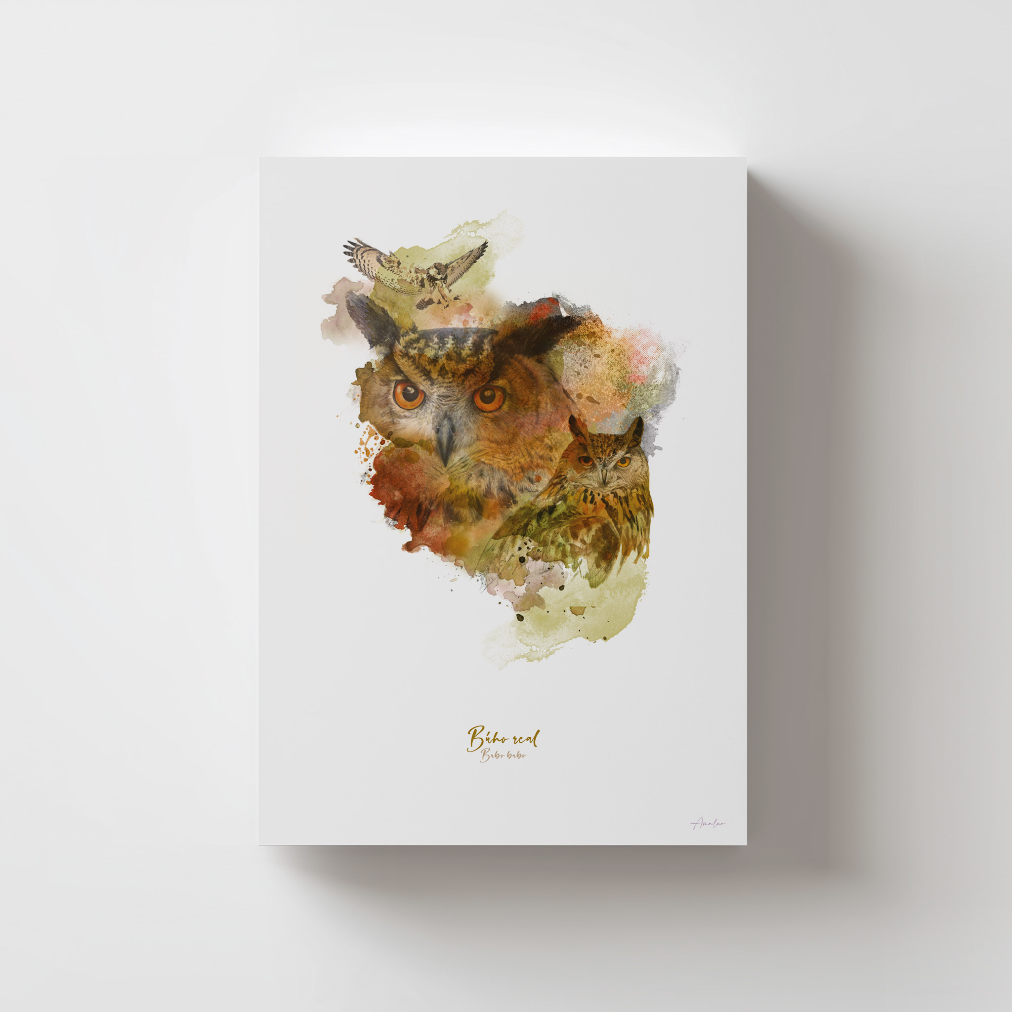 Lámina Búho Real