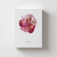 Lámina Ciervo Común