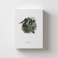 Lámina Cigüeña Nega