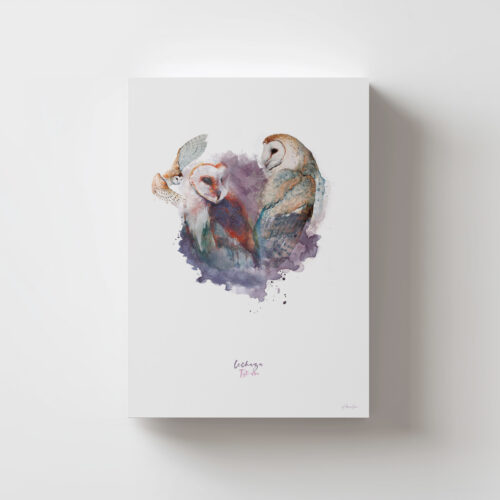 Lámina Lechuza