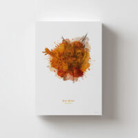 Lámina Lince Ibérico