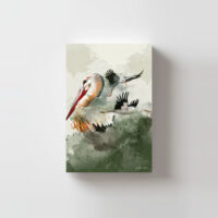 Postal Cigüeña Blanca