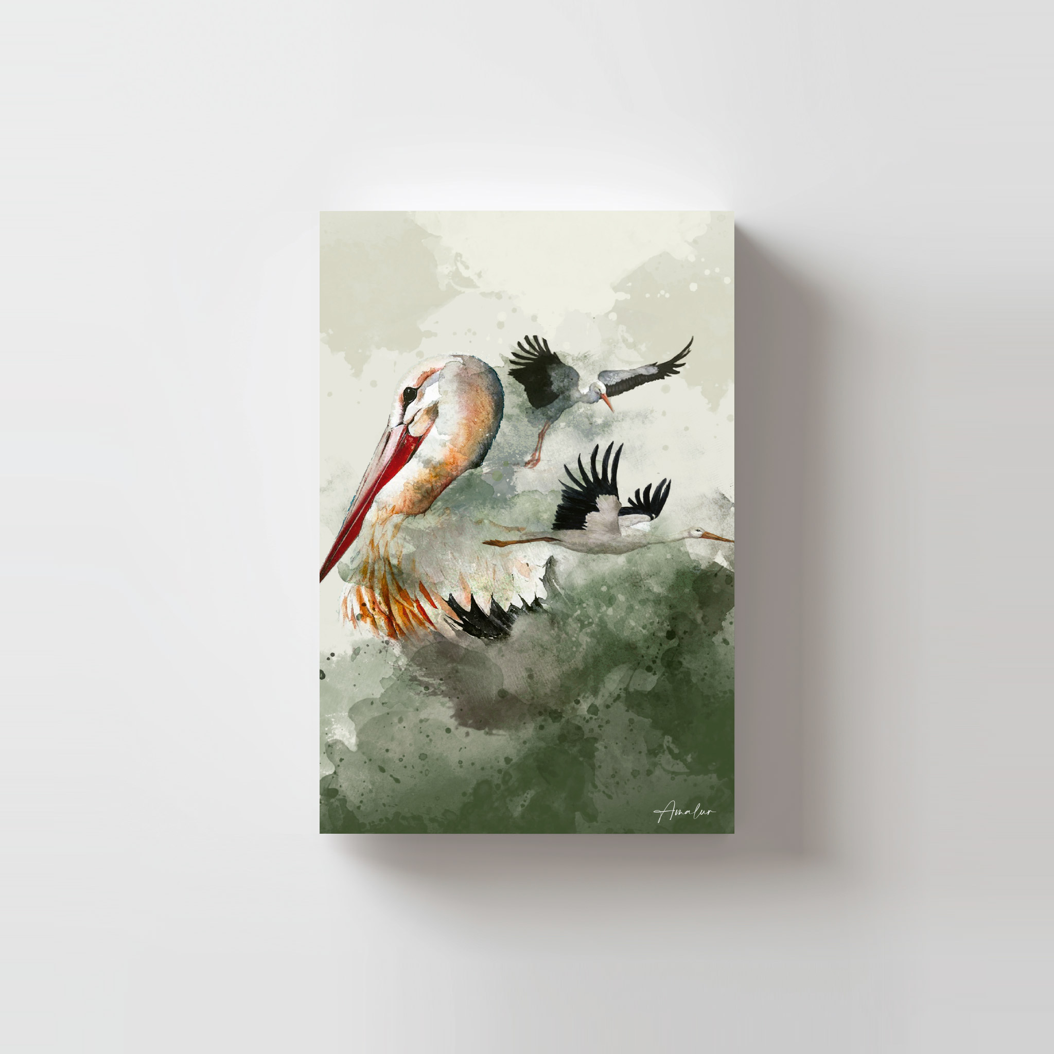 Postal Cigüeña Blanca