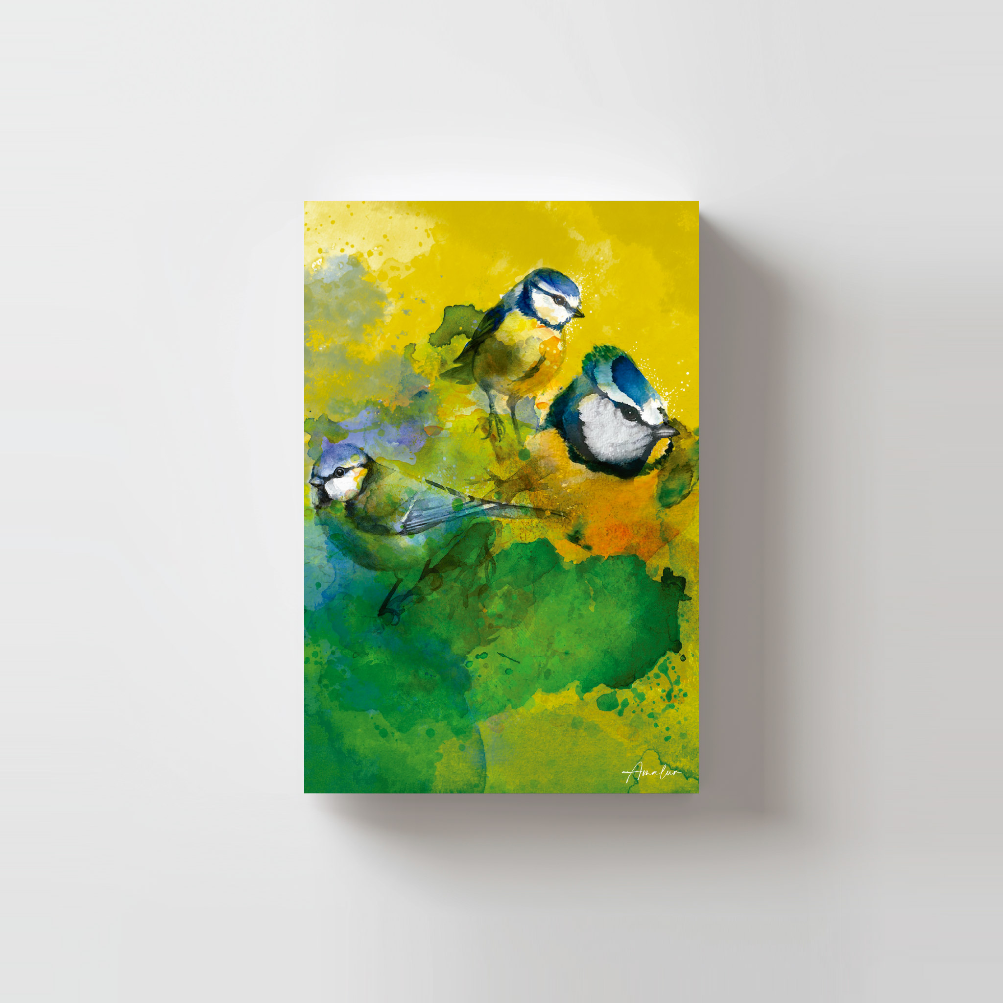 Postal Herrerillo Común