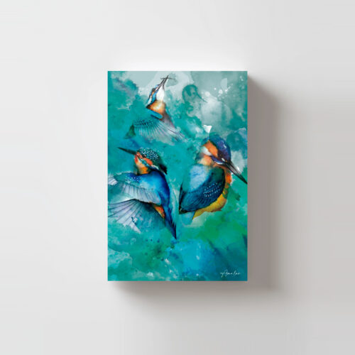 Postal Martín Pescador