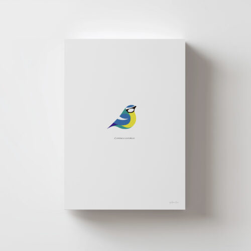 Lámina Herrerillo Común