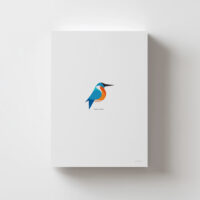 Lámina Martín Pescador