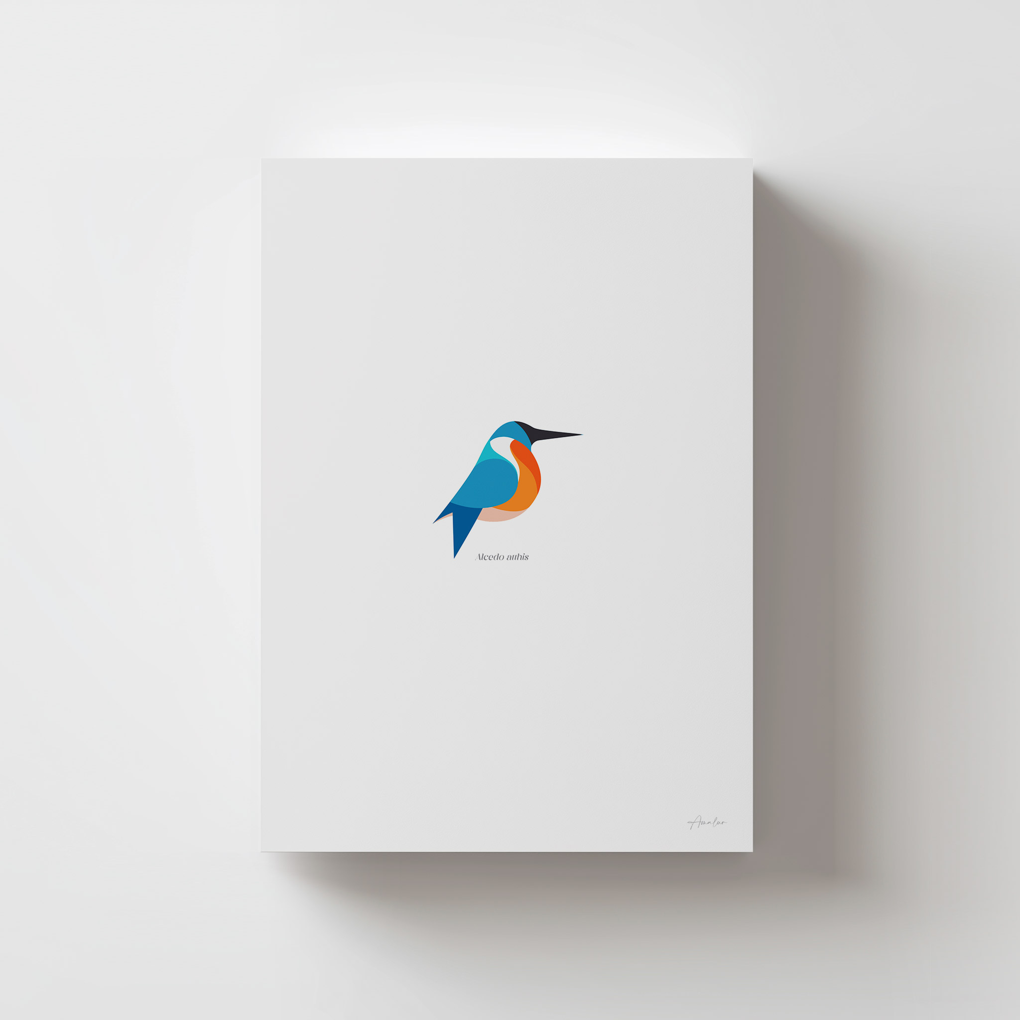 Lámina Martín Pescador