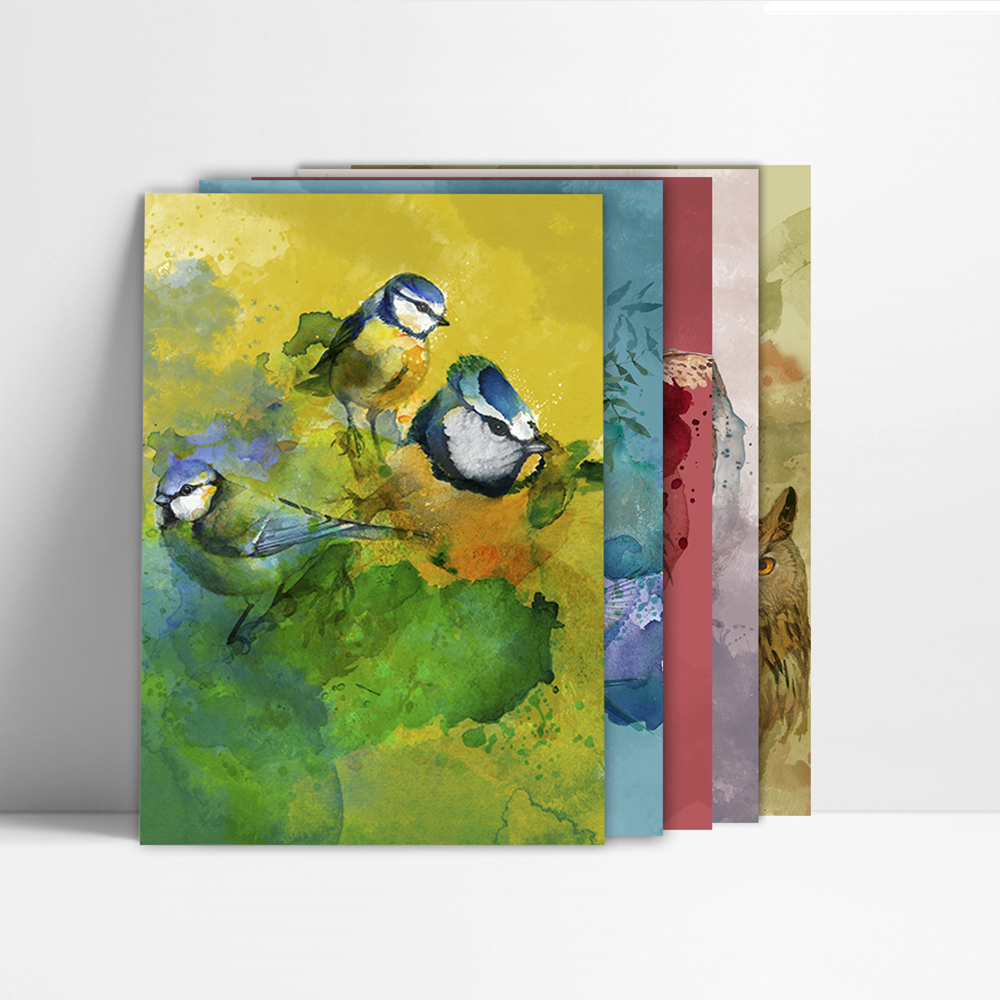 Postales de Pájaros