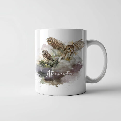 Taza Mochuelo Común
