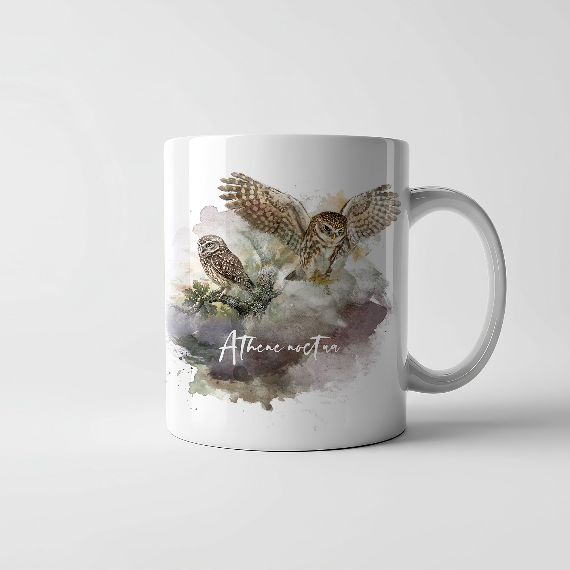 Taza Mochuelo Común